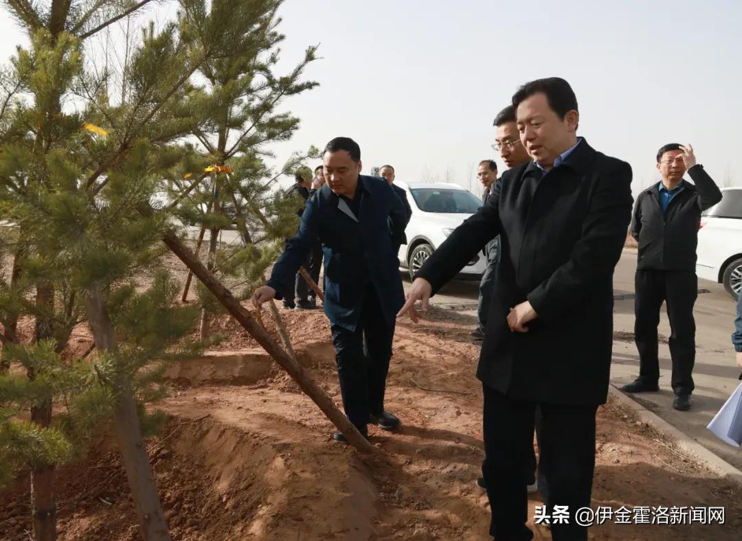 马泰豪煤矿最新动态,马泰豪煤矿最新动态