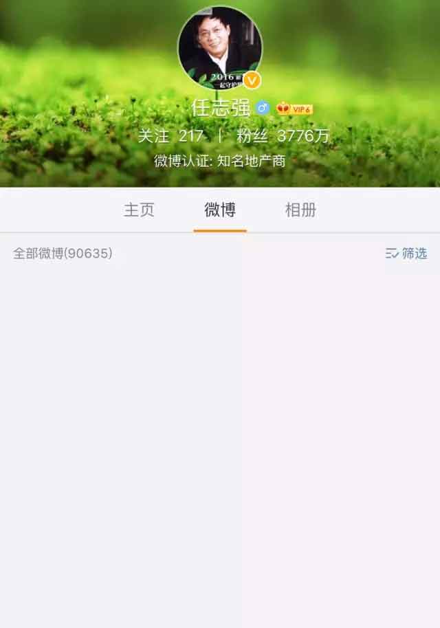 任志强最新言论解析，公众应如何看待？深度探讨其观点与影响