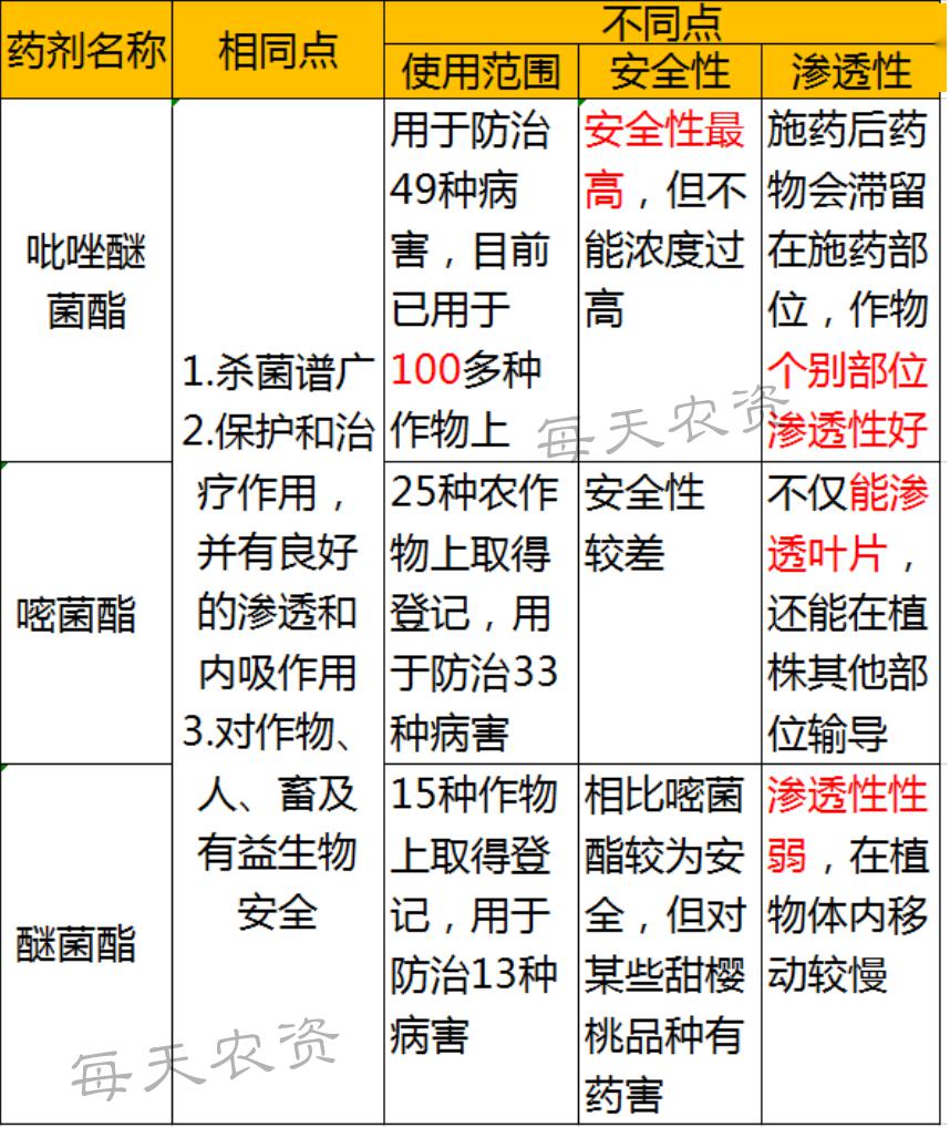 新奥天天免费资料东方心经,高效性设计规划_KCA93.841高端体验版