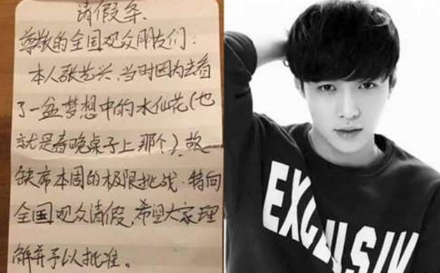 明星口号背后的故事，探寻小巷独特魅力的秘密之旅