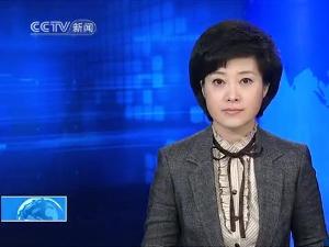 央视张璐，自然美景的心灵探索之旅，最新动态揭秘