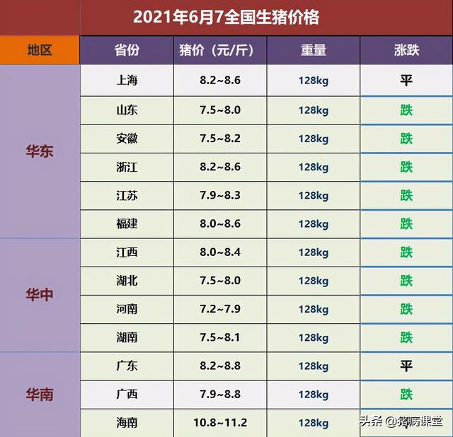 服务项目 第29页