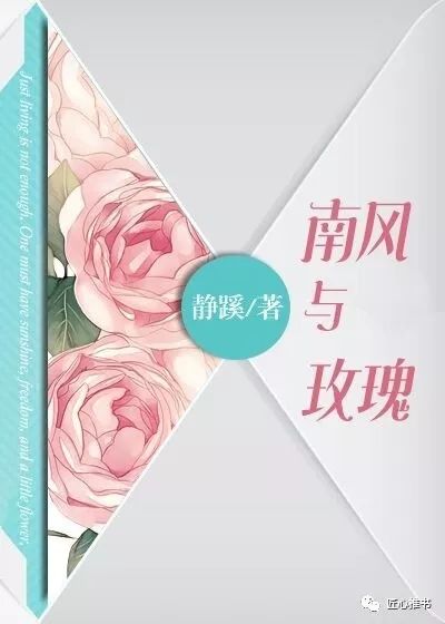 南风与玫瑰最新章节深度解析，人物洞察与故事进展